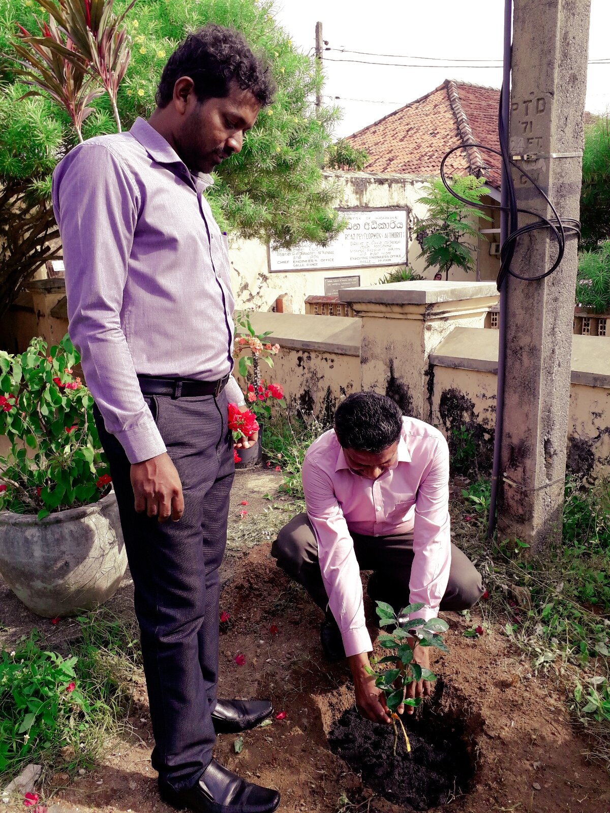  Planting trees for tree planting day. 